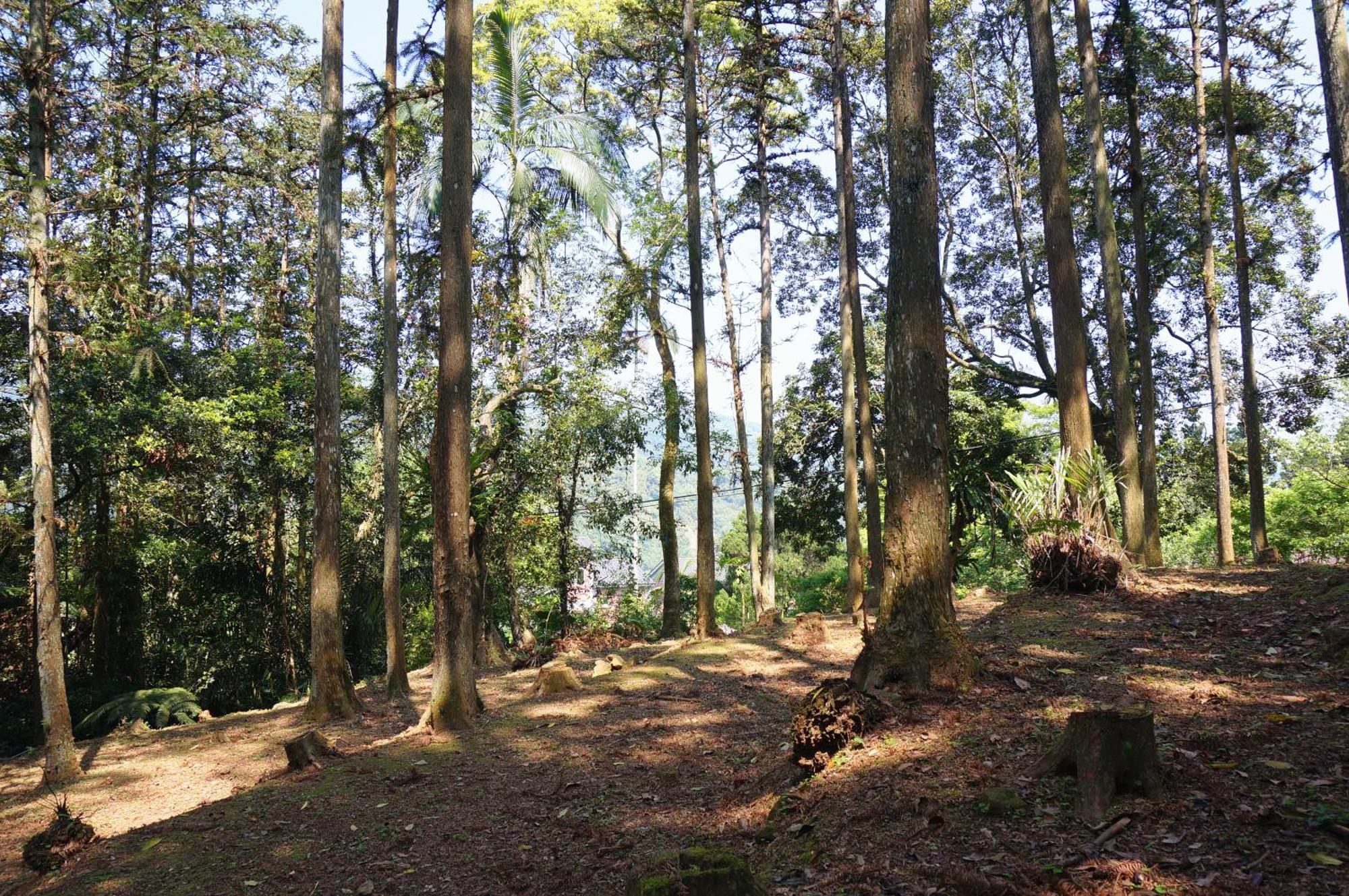 Li Jin Kuan Homestay Nanzhuang Eksteriør bilde